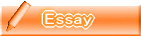 Essay