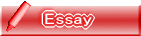 Essay